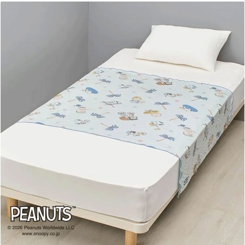 4908092678182



FR76506612 800



西川
スヌーピー クールハーフケット ブルー