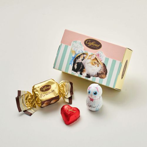 4573592655454



5000935101



山本商店
カファレル 猫のティータイム プチギフトチョコ3粒