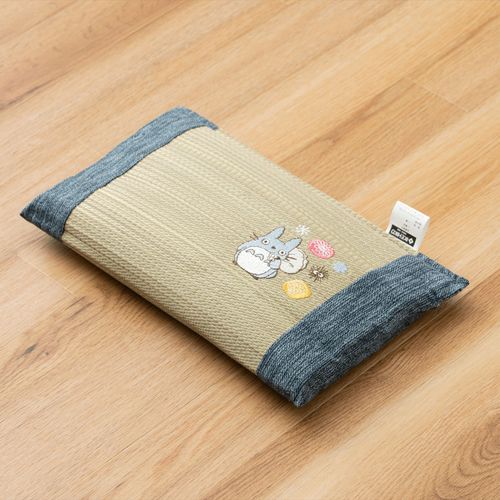 4550317043611



30X20



イケヒココーポレーション
となりのトトロ い草ミニ平枕 ドロップ 30x20cm