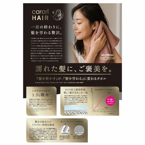 4573306875529







シービージャパン
カラリヘアー ヘアドライタオル