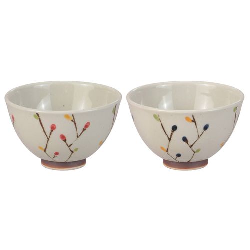 4514831206709







團陶器
軽量 花小立飯碗