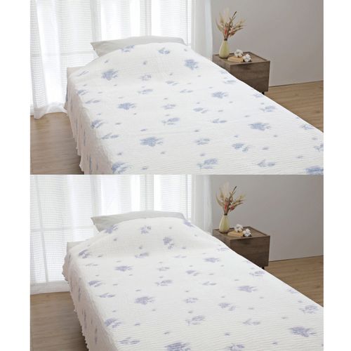 4522786391487







ロマンス小杉
シール織り ムレーヌケット