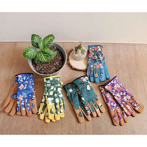 4571683220376







SOW
ガーデングローブ ブルーム