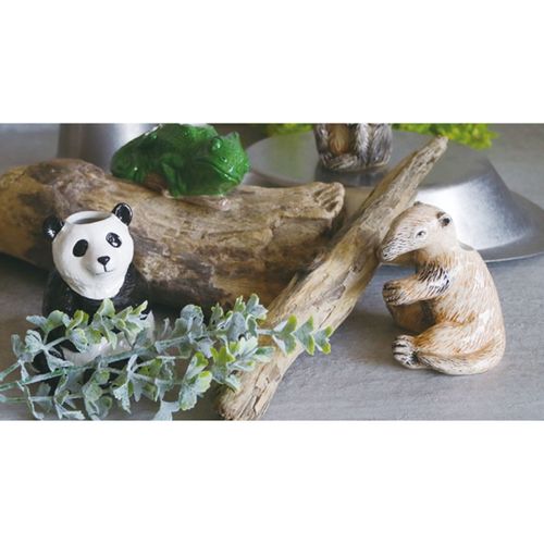 4544632026916







グローバルアロー
アニマルベース