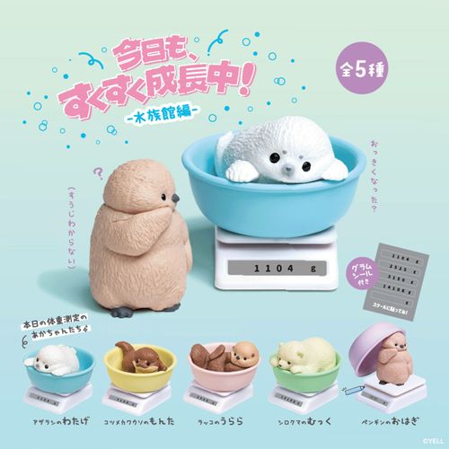 4580800213061



BW0032AS



エール
今日も、すくすく成長中－水族館編－