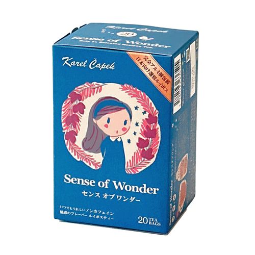 4580523636505







カレルチャペック
カレルチャペック センスオブワンダー デイリーシリーズ20p