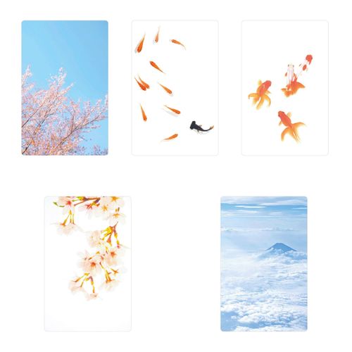 4571483793117







ｍｏｍｅｎｔｓ
透明写真栞