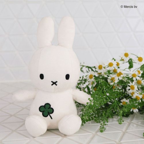 BTT-089OW



マークスインターナショナル
BON TON TOYS ミッフィー 四葉のクローバー コーデュロイ 18cm Off White