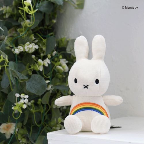 BTT-057RB



マークスインターナショナル
BON TON TOYS ミッフィー レインボー コーデュロイ 18cm Off White
