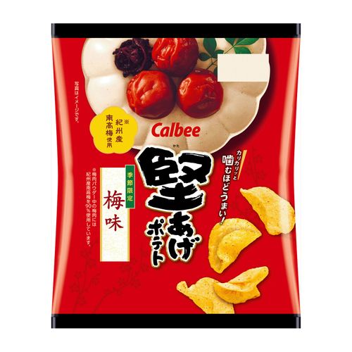 4901330923273







アイネット
カルビー 堅あげポテト 梅味