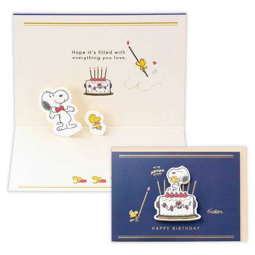 4961099854362



854362



日本ホールマーク
SNOOPY ケーキネイビー グリーティングカード 誕生お祝い