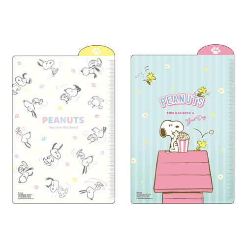 4995027206275







アートプリントジャパン
SNOOPY ピーナッツ 下敷き