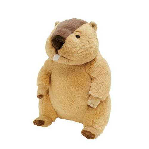 4920361051908



P-1903



サンレモン
フラッフィーズぬいぐるみM マーモット