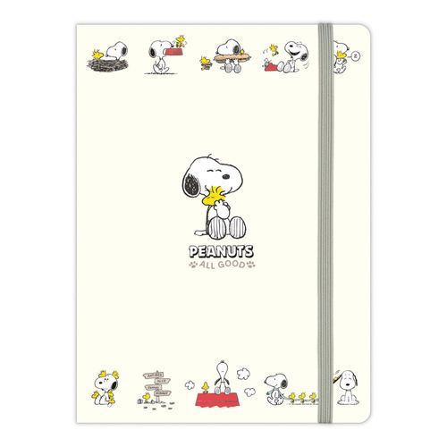4961099856267



856267



日本ホールマーク
SNOOPY 通院ファイル
