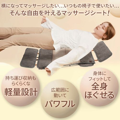 4580657305193







ドリームファクトリー
ドクターエア 3Dマッサージシート flatty（管理医療機器）