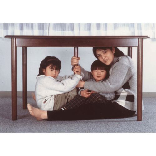 4582112720039







ニコー
つかまりん棒 木製天板用