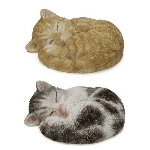 4582756154702







ＷｏｏＢｉａ Ｊａｐａｎ
ねこ鍋 マグネット